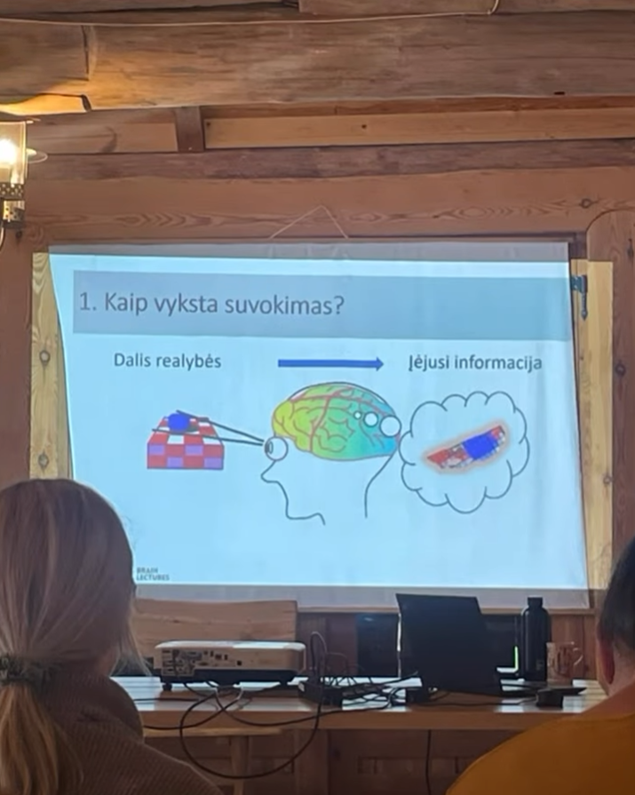 Kita veikla
